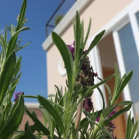 Bed & Breakfast Bema 3*