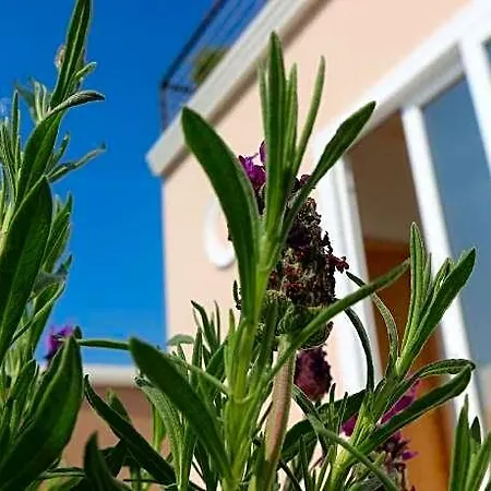 Bed & Breakfast Bema 4*