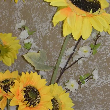 Alojamento de Acomodação e Pequeno-almoço Bema Sarno