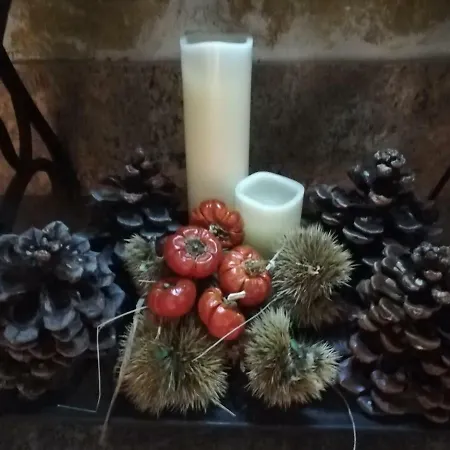 Alojamento de Acomodação e Pequeno-almoço Bema